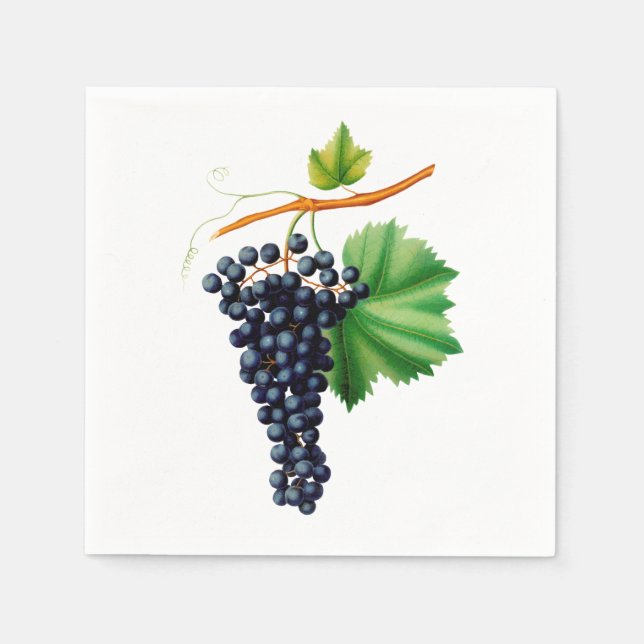 Vintage Grapes Napkins (Front)