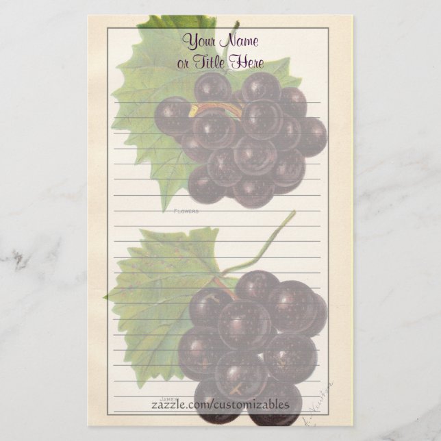 Vintage Grapes Stationery (Front)