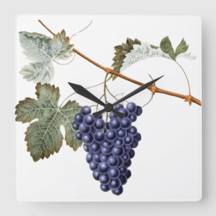 Vintage Grapevine Grapes Leaf Purple Plant Vinyard Square Wall Clock
