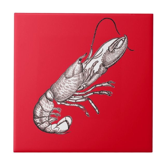 Vintage graphic lobster in red   ceramic tile (Front)