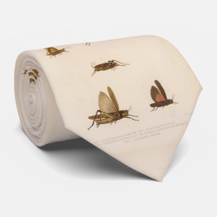 Vintage Grasshopper Diagram (1875) Neck Tie