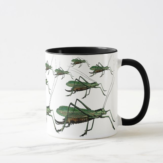 Vintage Grasshoppers, Katydids, Bush Crickets Mug (Right)