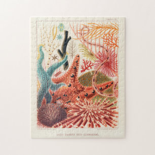Vintage Great Barrier Reef Australia Echinoderms Jigsaw Puzzle