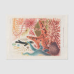Vintage Great Barrier Reef Australia Echinoderms Tissue Paper<br><div class="desc">Great Barrier Reef Echinoderms from The Great Barrier Reef of Australia (1893) by William Saville-Kent (1845-1908).</div>