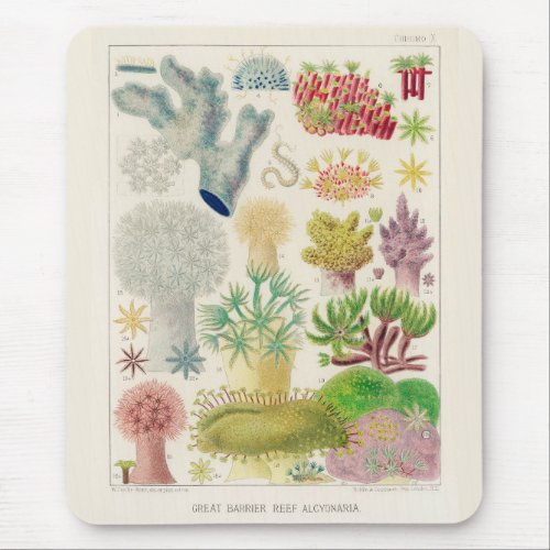 Vintage Great Barrier Reef of Australia Alcyonaria Mouse Pad
