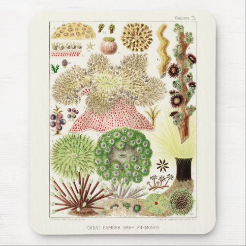 Vintage Great Barrier Reef of Australia Anemones Mouse Pad