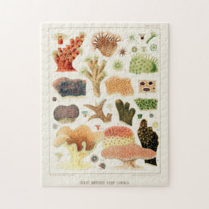 Vintage Great Barrier Reef of Australia Corals Jigsaw Puzzle