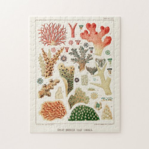 Vintage Great Barrier Reef of Australia Corals Jigsaw Puzzle