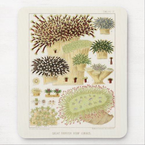 Vintage Great Barrier Reef of Australia Corals Mouse Pad