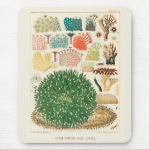 Vintage Great Barrier Reef of Australia Corals Mouse Pad