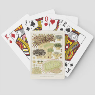 Vintage Great Barrier Reef of Australia Corals Poker Cards