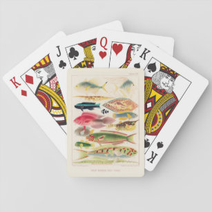 Vintage Fish Scientific Fishing Art Playing Cards