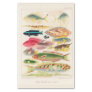 Vintage Great Barrier Reef of Australia Fishes Tissue Paper