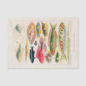 Vintage Great Barrier Reef of Australia Fishes Tissue Paper