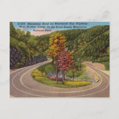 Vintage Great Smokey Mountains North Carolina Bend Postcard