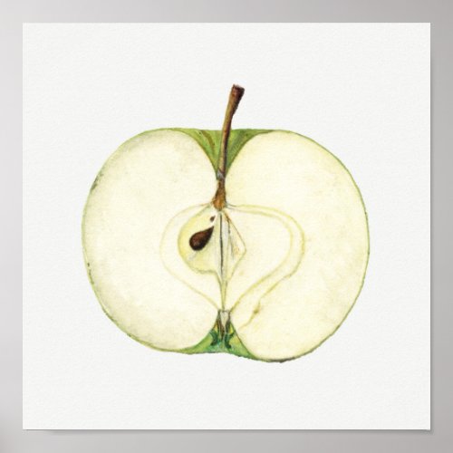 Vintage Green Apple Fruit Painting Poster