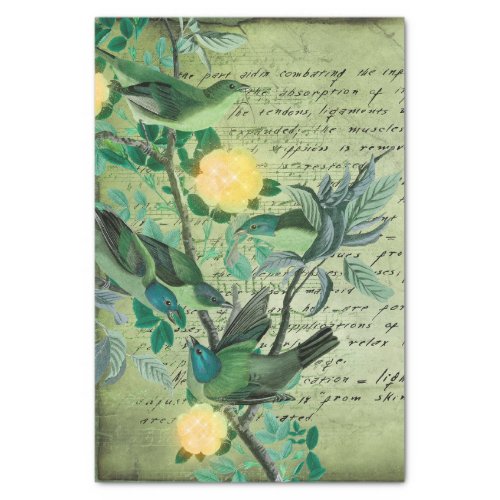 Vintage Green Birds Botanical Tissue Paper