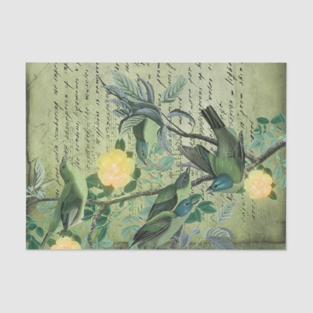 Vintage Green Birds Botanical Tissue Paper (Front)