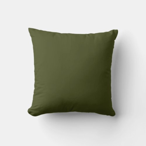 Vintage green foliage solid color  pillow