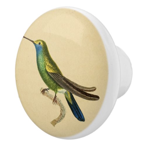 Vintage Green Hummingbird Drawer Knob