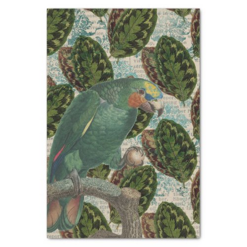 Vintage Green Parrot Tropical Tissue Paper
