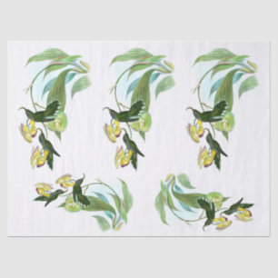 Vintage Green Sickle Bill Hummingbird Decoupage Tissue Paper