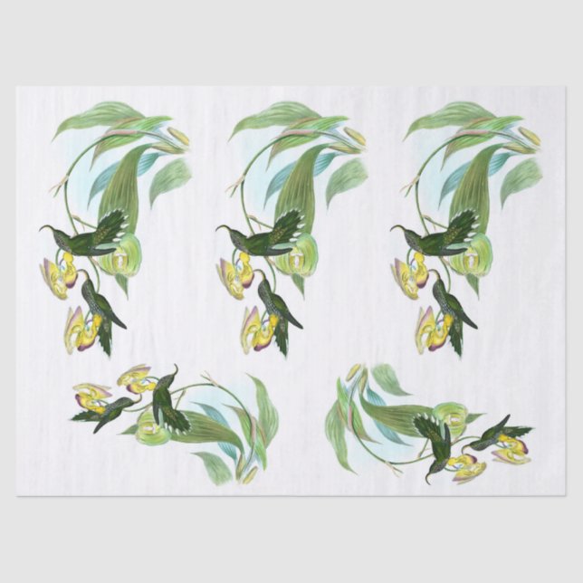 Vintage Green Sickle Bill Hummingbird Decoupage Tissue Paper (Front)