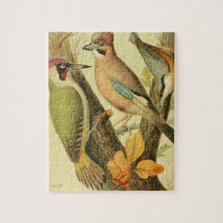 Vintage green woodpecker