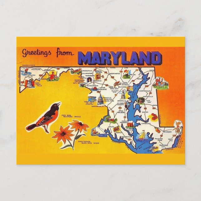 Vintage Greeting from Maryland Postcard (Front)