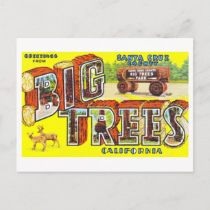 Vintage Greetings from Big Trees, Calif., Postcard