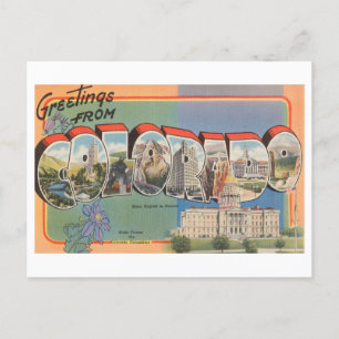 Vintage Greetings from Colorado Postcard