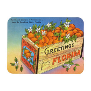 Vintage Greetings from Florida Citrus Fruit Magnet