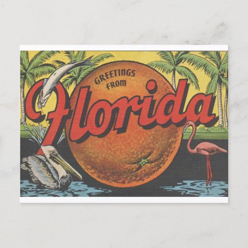Vintage Greetings from Florida with orange Postcard
