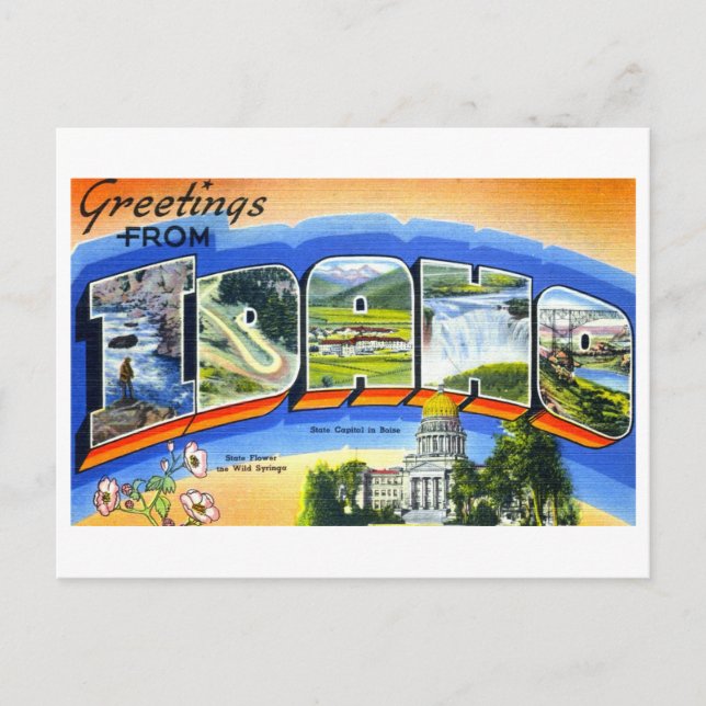 Vintage Greetings from Idaho Postcard (Front)