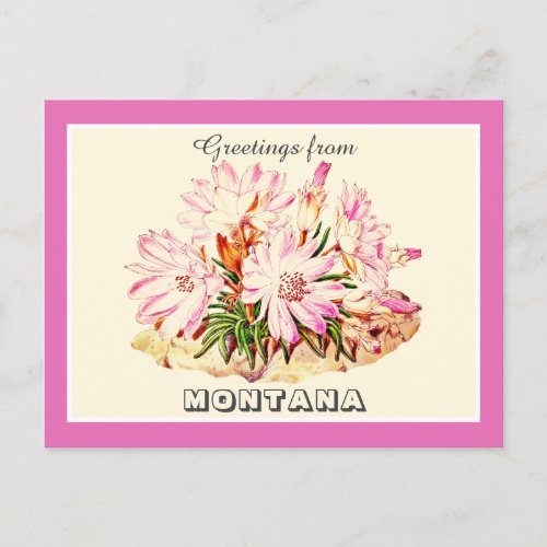 Vintage Greetings from Montana Bitterroot  Postcard