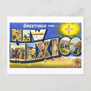 Vintage Greetings from New Mexico Postcard
