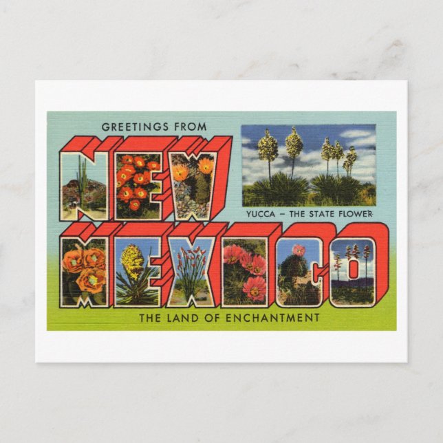 Vintage Greetings from New Mexico Postcard (Front)