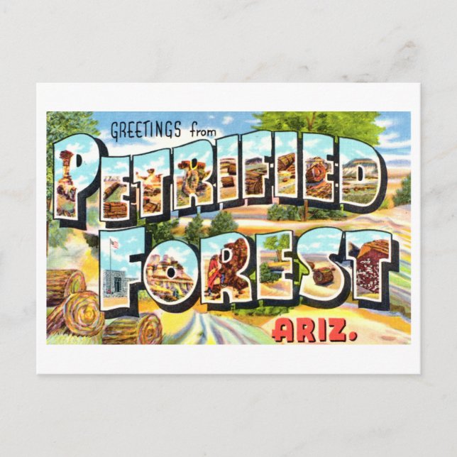 Vintage Greetings from Petrified Forest, Arizona Postcard (Front)