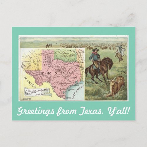 Vintage Greetings from Texas Yall Postcard
