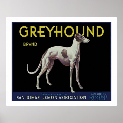Vintage Greyhound Lemon Label Circa 1920 Poster