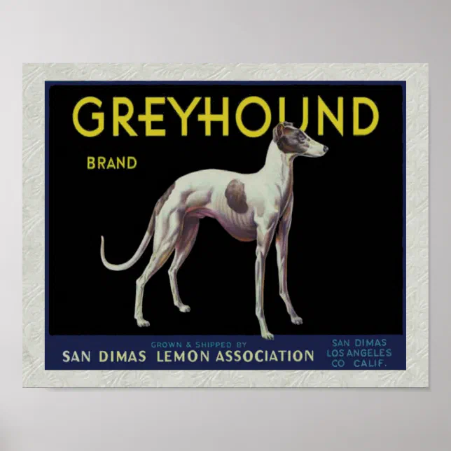 Vintage Greyhound Lemon Label Circa 1920 Poster Zazzle