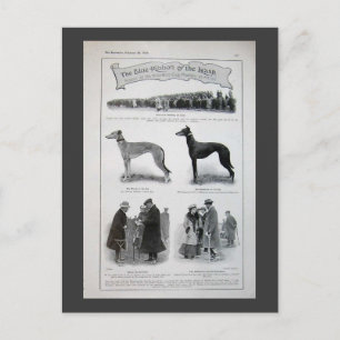 Vintage Greyhound News Clipping Postcard