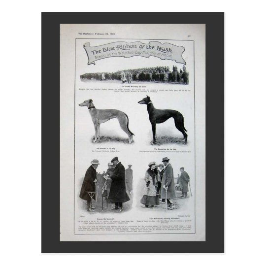 Vintage Greyhound News Clipping Postcard | Zazzle.com