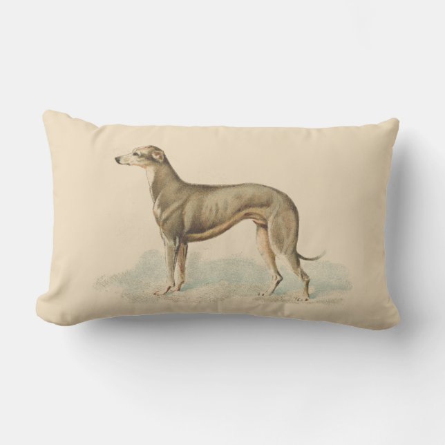 Vintage Greyhound Whippet Print Lumbar Pillow (Front)
