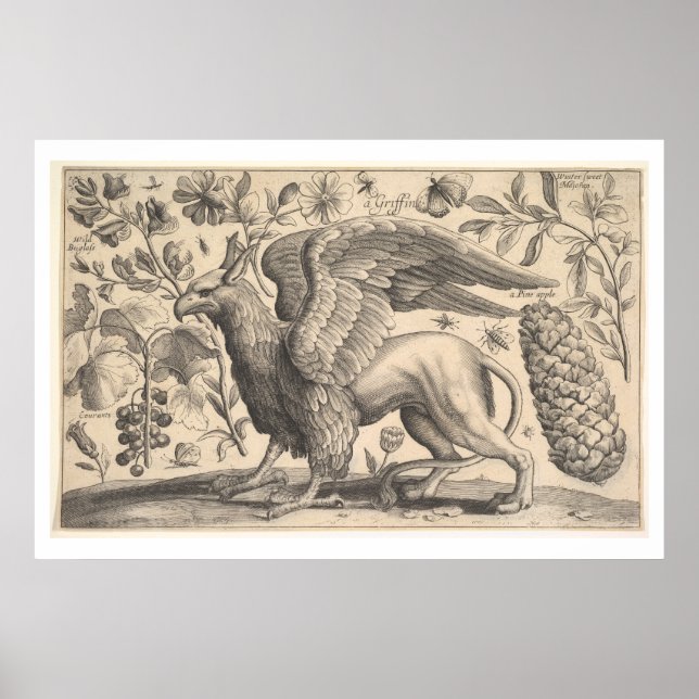 Vintage Griffin Greek Mythology Botany Poster (Front)