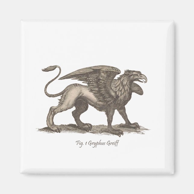 Vintage griffin (gryphus greiff) illustration. magnet (Front)