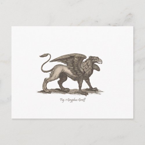 Vintage griffin gryphus greiff illustration postcard