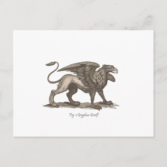 Vintage griffin (gryphus greiff) illustration. postcard (Front)