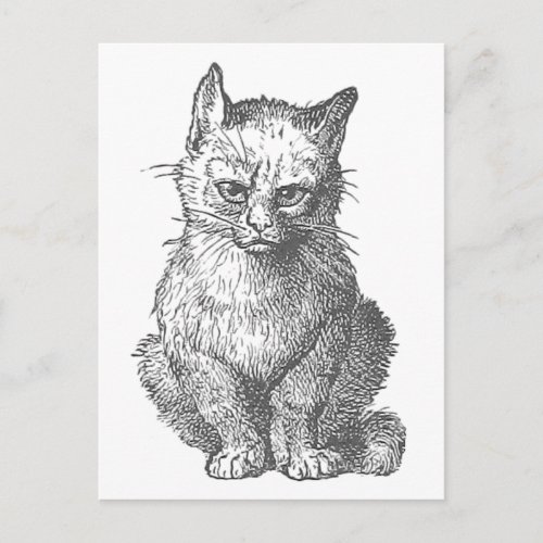 Vintage Grumpy Cat Design Postcard