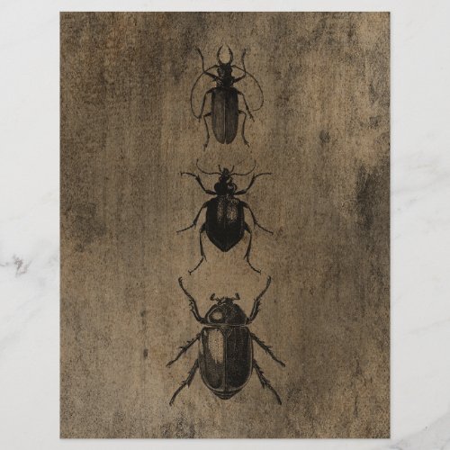 Vintage Grunge Beetles Scrapbook Paper